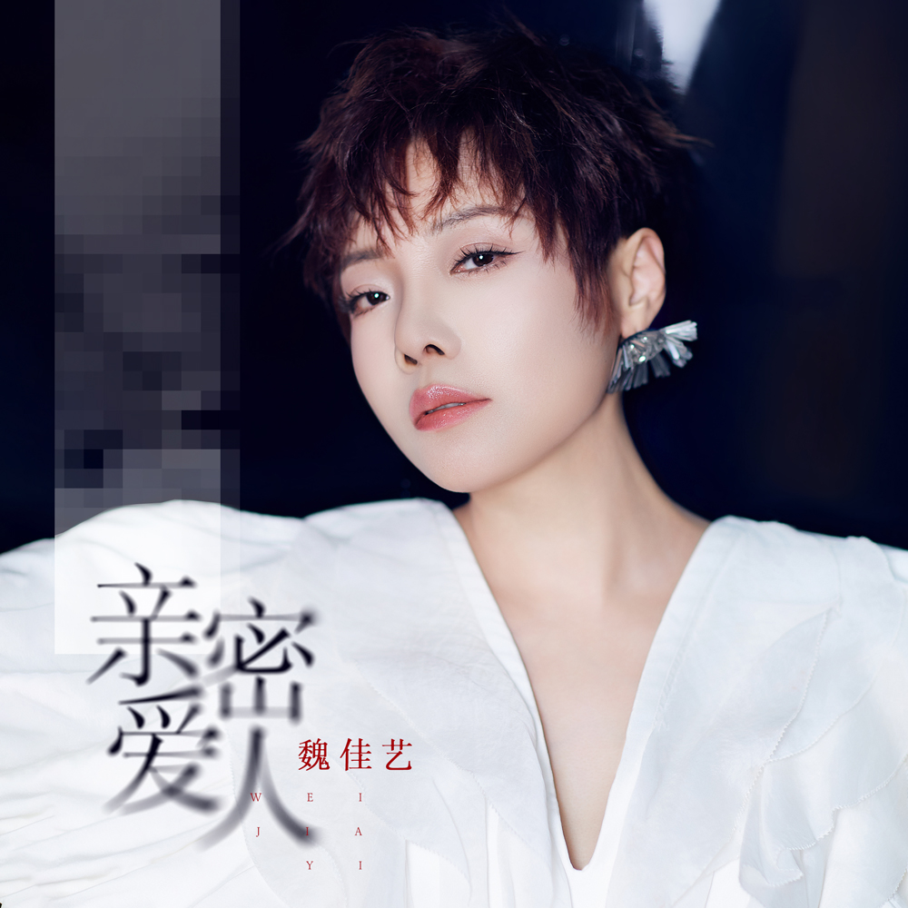 魏佳藝– 親密愛人｜ 中文歌詞– #NOSTORYNOMUSIC